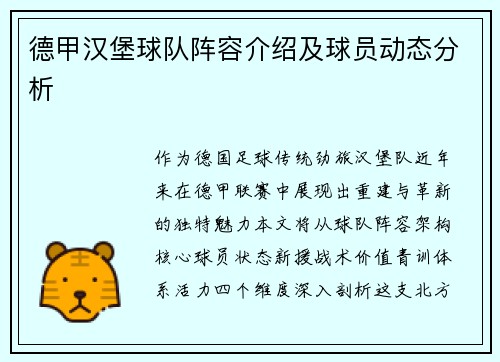 德甲汉堡球队阵容介绍及球员动态分析